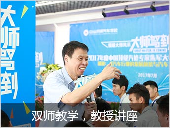 双师教学，教授讲座